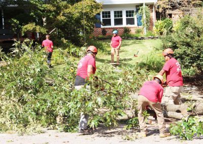 Gonzalez Tree Care