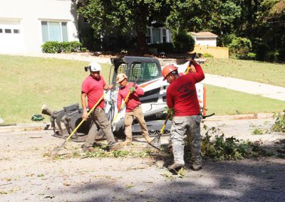 Gonzalez Tree Care