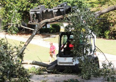 Gonzalez Tree Care