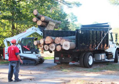 Gonzalez Tree Care